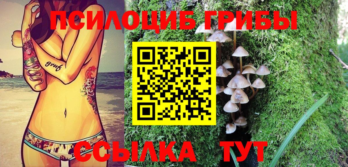 Псилоцибиновые грибы Psilocybe Ростов Великий